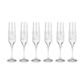 Set van 6 Champagneglazen Summer Breeze 195 ml