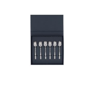 Koffielepel 6 stuks Summer Breeze RVS Geschenkverpakking