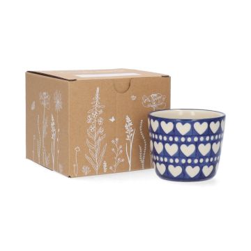 Gift Set Tumbler - Blue Valentine 